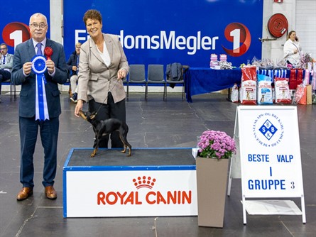 Beste valp gr 3.jpg